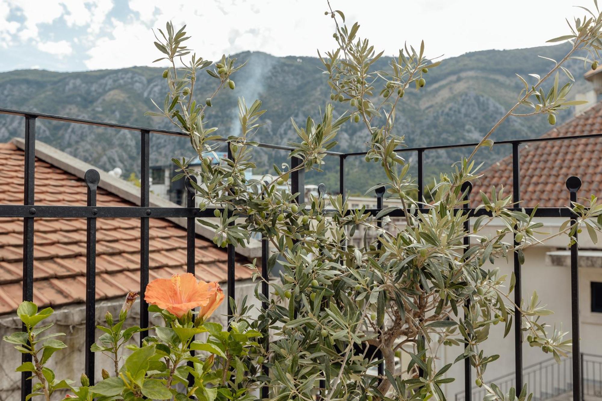 Kotor Central Point Eksteriør billede
